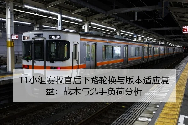 T1小组赛收官后下路轮换与版本适应复盘：战术与选手负荷分析